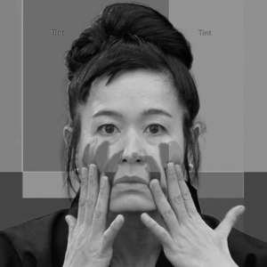 Hito Steyerl - Artists for Assange